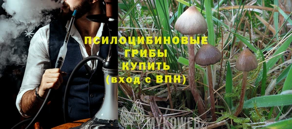 твердый Верхний Тагил