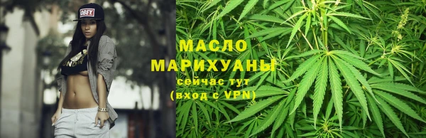 твердый Верхний Тагил