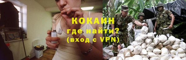 твердый Верхний Тагил