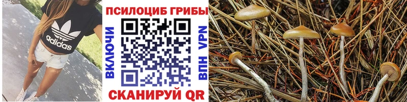 Галлюциногенные грибы ЛСД  MEGA зеркало  Гороховец  купить  цена 